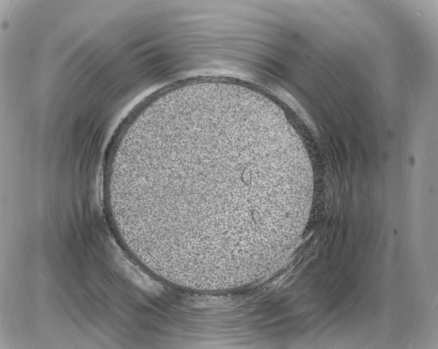 X0000086111076200704202300