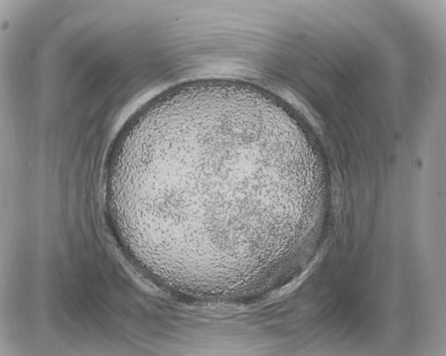 X0000086111077200704202300