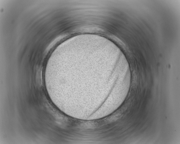 X0000086111078200704202300