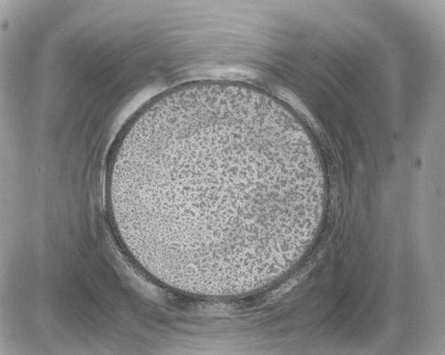 X0000086111079200704202300