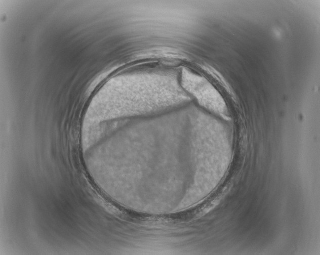 X0000086111081200704202300