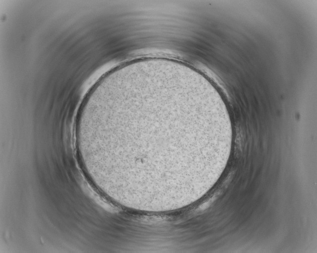 X0000086111082200704202300