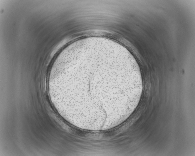 X0000086111083200704202300