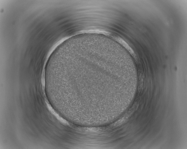 X0000086111084200704202300