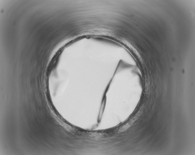 X0000086111085200704202300