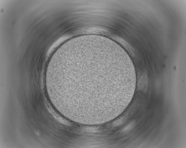 X0000086111086200704202300