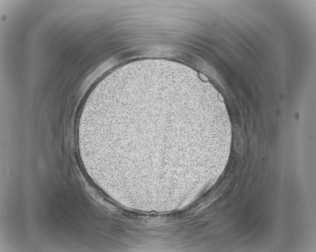 X0000086111087200704202300