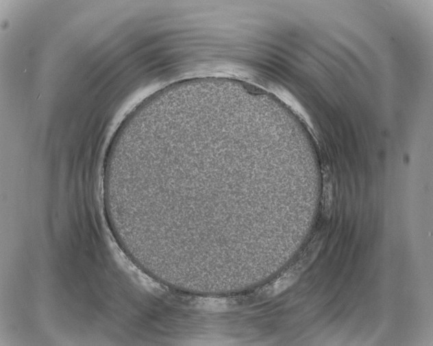 X0000086111088200704202300