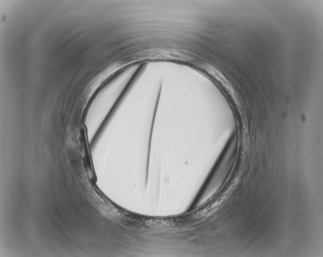 X0000086111089200704202300