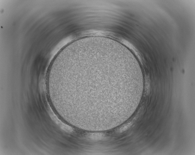 X0000086111090200704202300