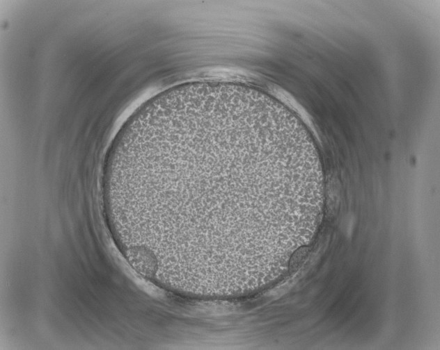 X0000086111091200704202300