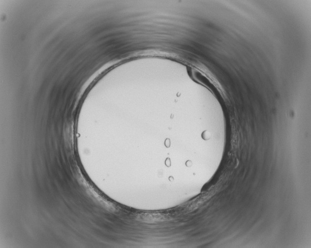 X0000086111092200704202300