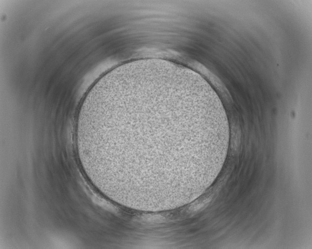 X0000086111094200704202300