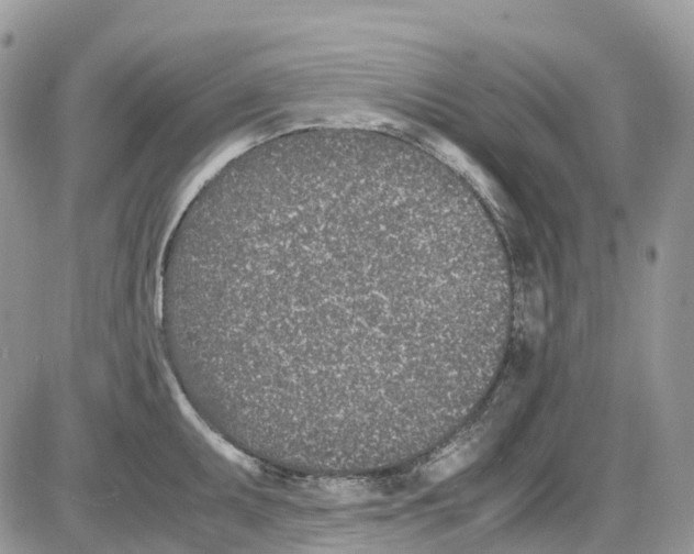 X0000086111095200704202300