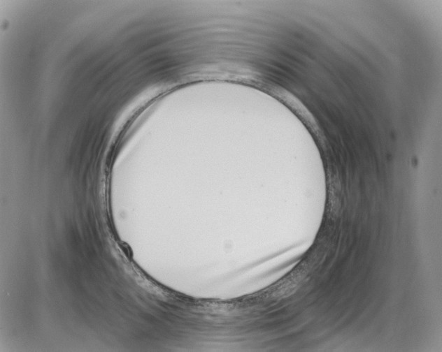 X0000086111096200704202300