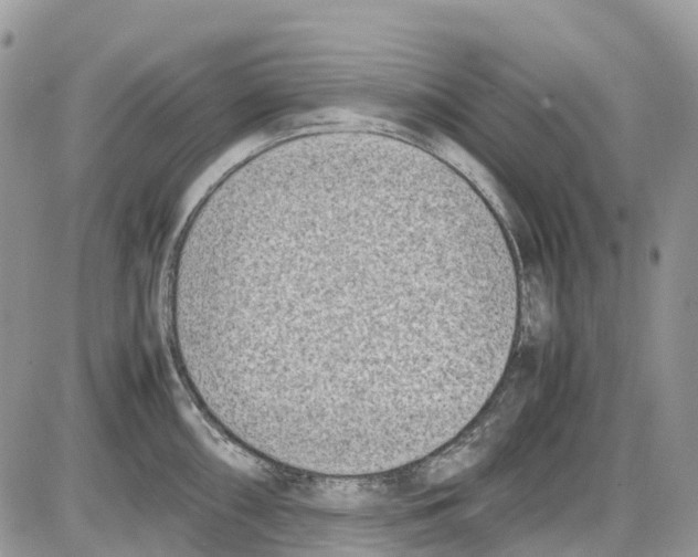 X0000086111098200704202259