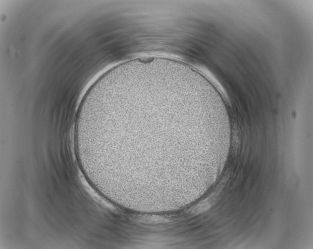 X0000086111100200704202259