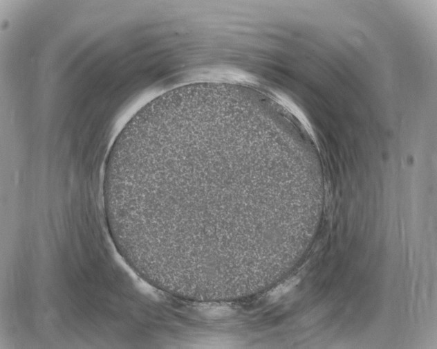 X0000086111103200704202259