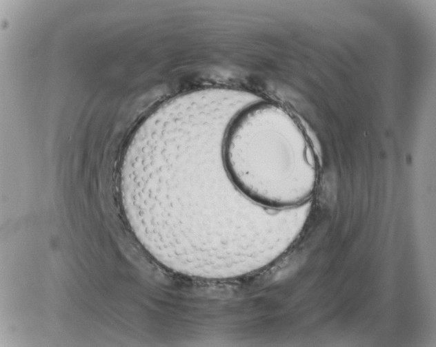 X0000086111105200704202259