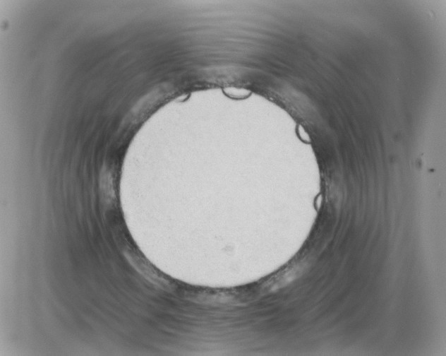 X0000086111106200704202259