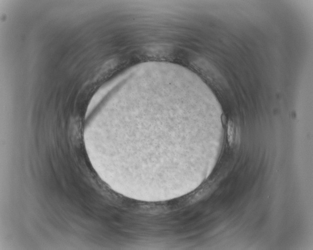 X0000086111107200704202259