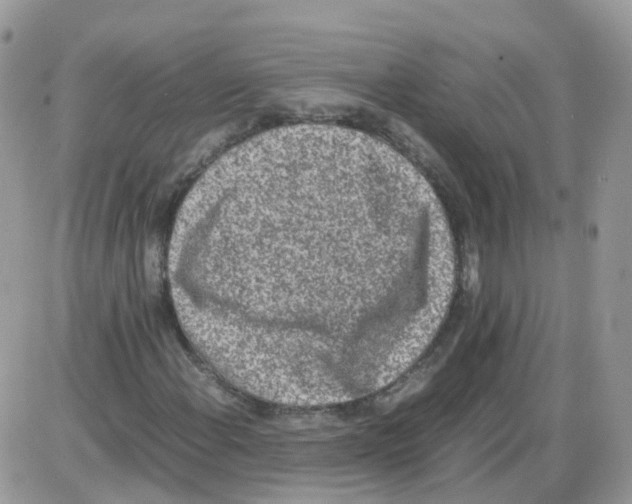 X0000086111108200704202259