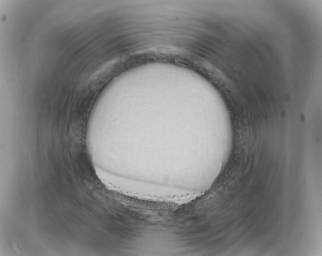 X0000086111110200704202259