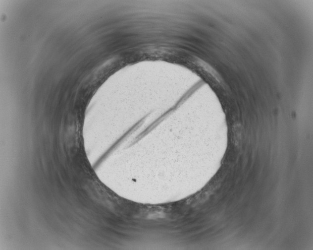 X0000086111111200704202259