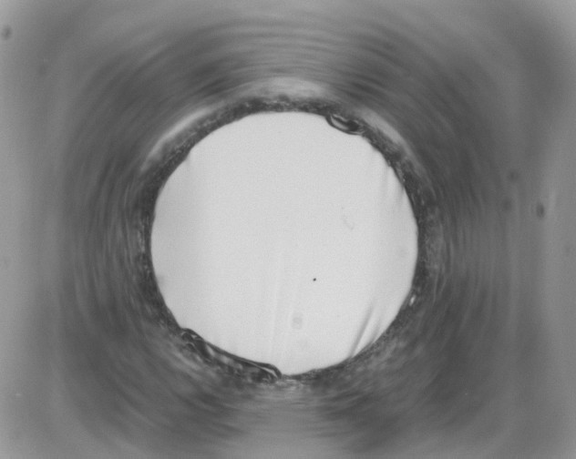 X0000086111112200704202259