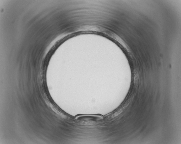 X0000086111116200704202259