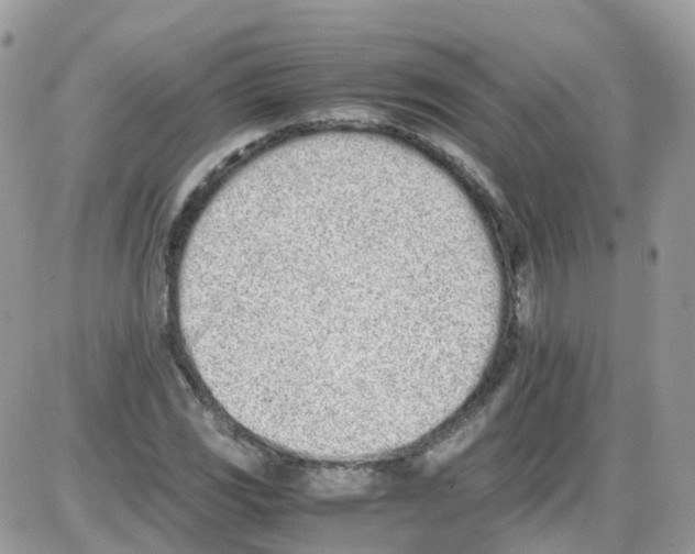 X0000086111117200704202259