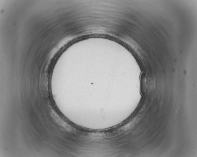 X0000086111118200704202259