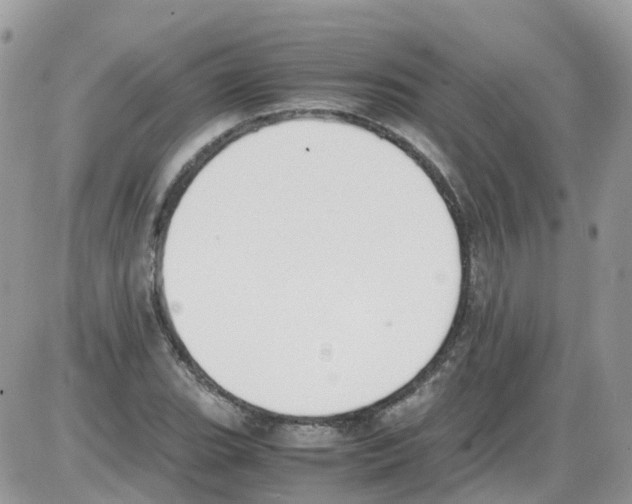 X0000086111119200704202259