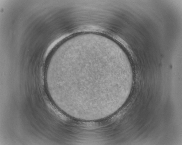 X0000086111120200704202259