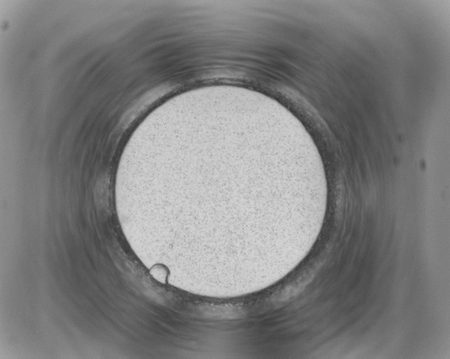 X0000086111121200704202259