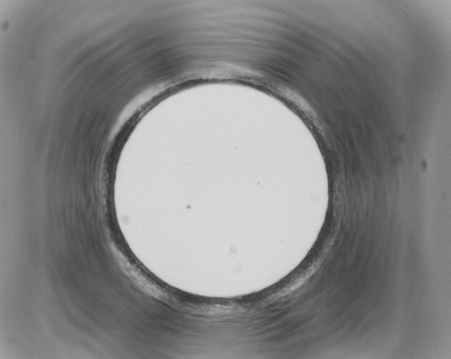 X0000086111122200704202259