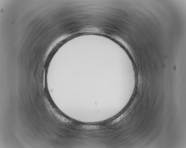 X0000086111123200704202259