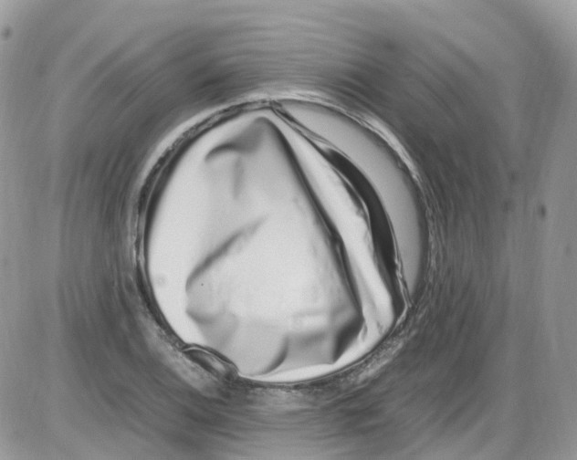 X0000086111124200704202259