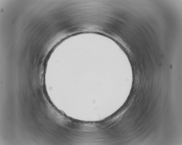 X0000086111126200704202259