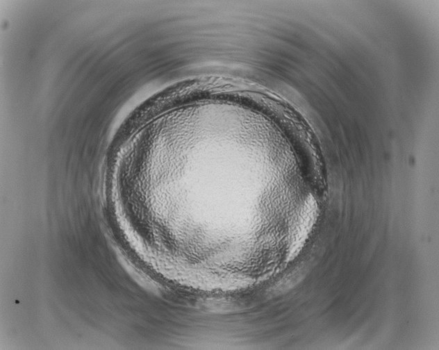 X0000086111128200704202259