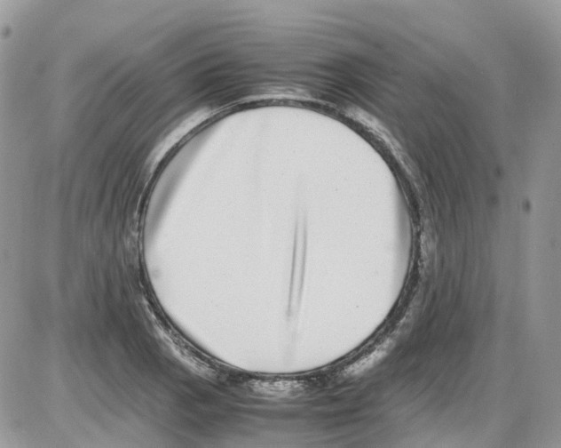 X0000086111129200704202259