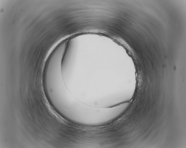 X0000086111132200704202259