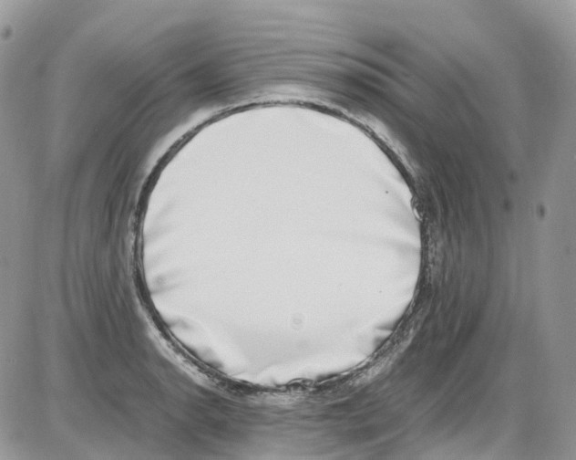 X0000086111134200704202259