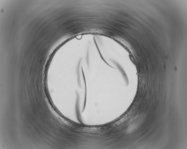 X0000086111135200704202259