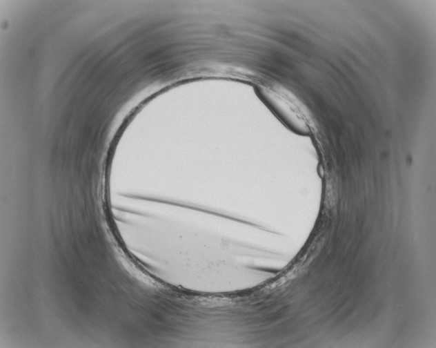 X0000086111136200704202259