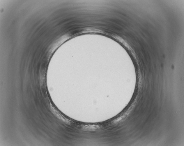 X0000086111137200704202259