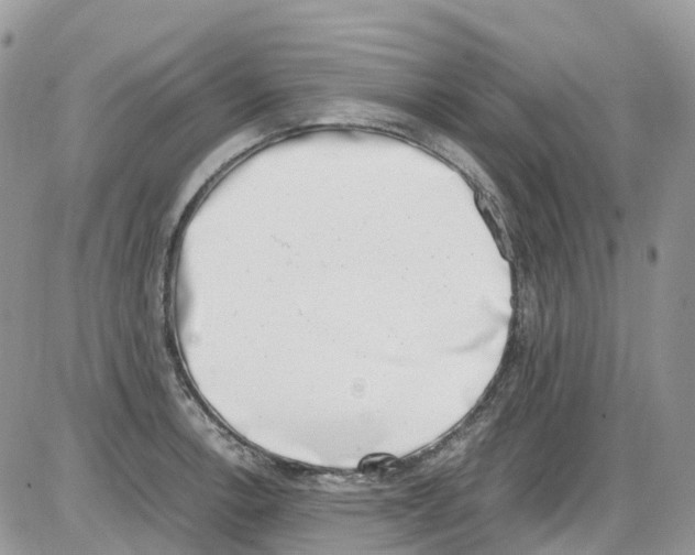 X0000086111138200704202259