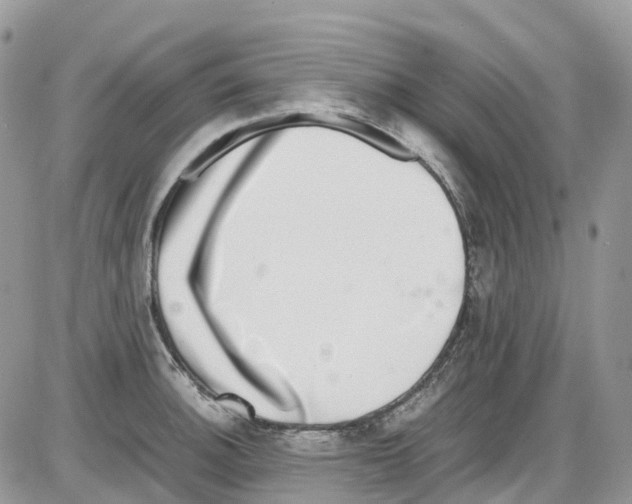 X0000086111140200704202259