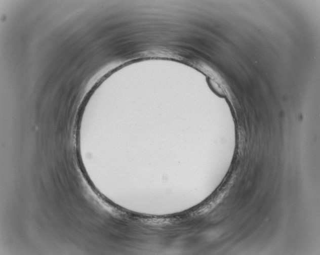 X0000086111141200704202259