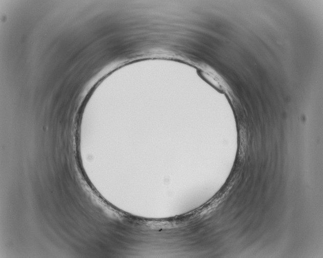 X0000086111142200704202259